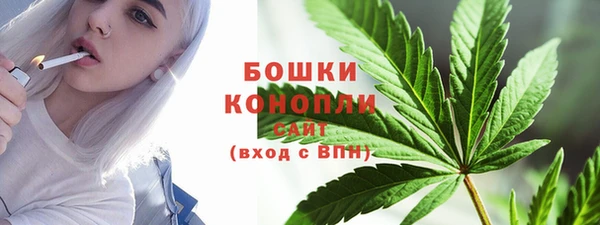 apvp Дмитриев