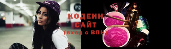apvp Дмитриев