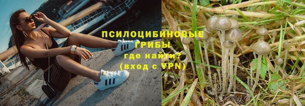 герыч Дмитровск