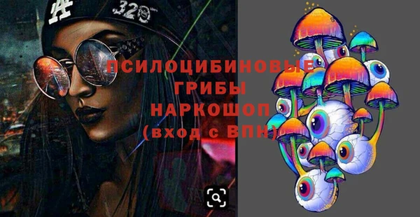 apvp Дмитриев