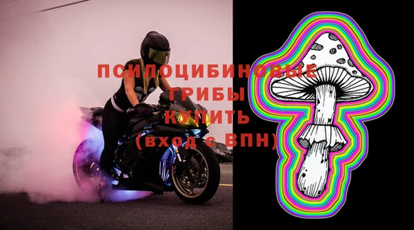 apvp Дмитриев