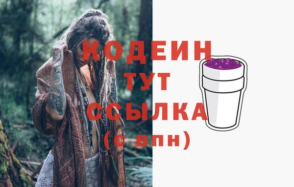 apvp Дмитриев