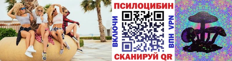 Галлюциногенные грибы мицелий  закладка  ссылка на мегу ТОР  Северобайкальск 