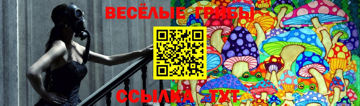 Северобайкальск  Псилоцибиновые грибы GOLDEN TEACHER  Вход с VPN 