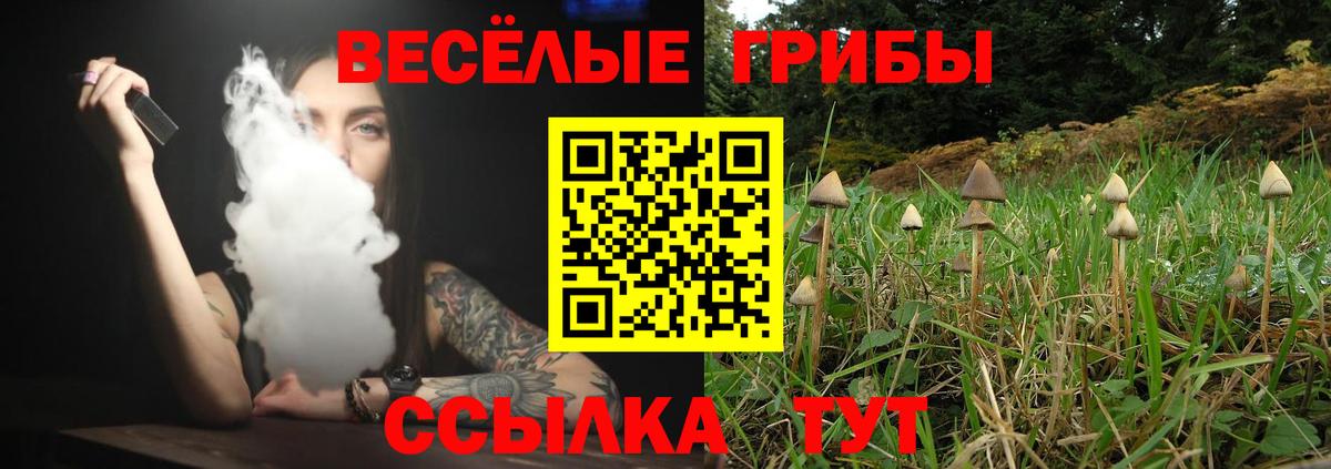 Псилоцибиновые грибы Magic Shrooms Северобайкальск