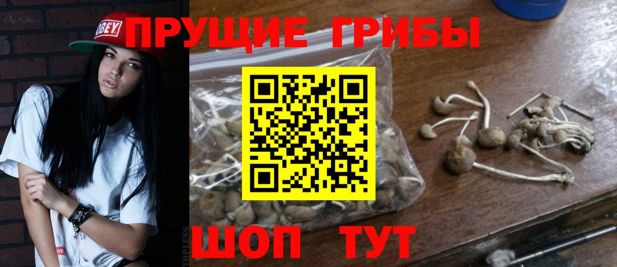 Галлюциногенные грибы GOLDEN TEACHER  Северобайкальск 